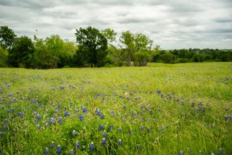 1716 A County Road 469 Coupland TX 78615