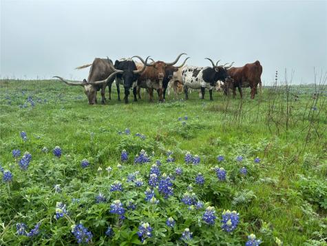 1716 A County Road 469 Coupland TX 78615