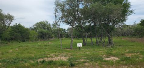 Tbd Specklebelly Lane Lot 251 Columbus TX 78934