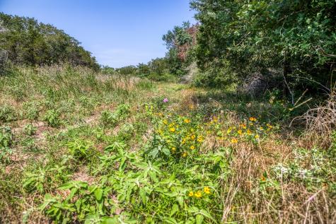 Tbd (88.852 Acres) Smith Road Bastrop TX 78602