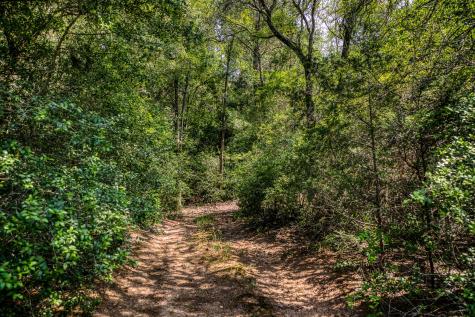 Tbd (88.852 Acres) Smith Road Bastrop TX 78602