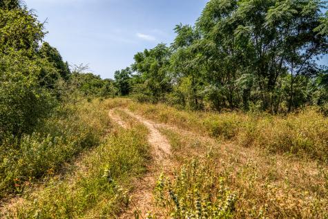 Tbd (88.852 Acres) Smith Road Bastrop TX 78602