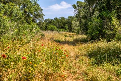 Tbd (88.852 Acres) Smith Road Bastrop TX 78602