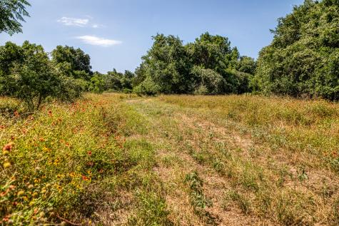 Tbd (88.852 Acres) Smith Road Bastrop TX 78602