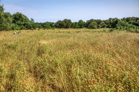 Tbd (88.852 Acres) Smith Road Bastrop TX 78602