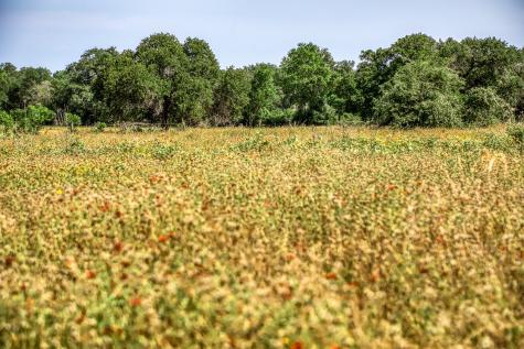 Tbd (88.852 Acres) Smith Road Bastrop TX 78602