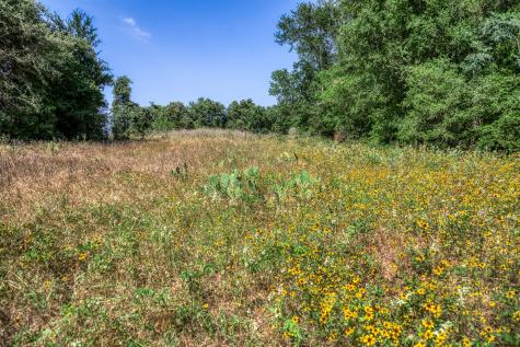 Tbd (88.852 Acres) Smith Road Bastrop TX 78602