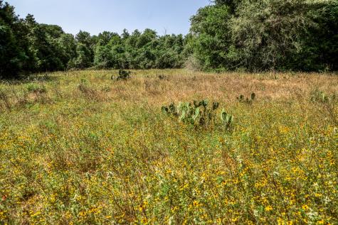 Tbd (88.852 Acres) Smith Road Bastrop TX 78602