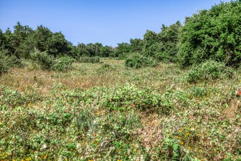 Tbd (88.852 Acres) Smith Road Bastrop TX 78602