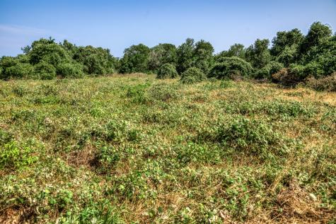 Tbd (88.852 Acres) Smith Road Bastrop TX 78602
