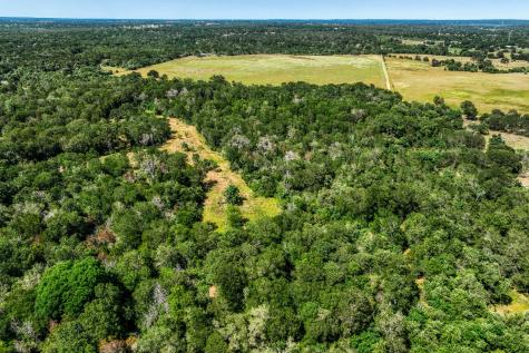 Tbd (88.852 Acres) Smith Road Bastrop TX 78602