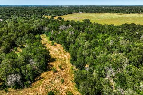 Tbd (88.852 Acres) Smith Road Bastrop TX 78602