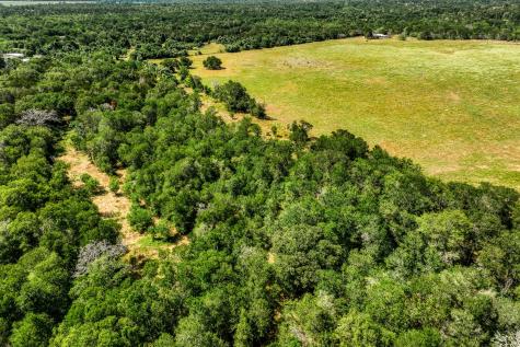 Tbd (88.852 Acres) Smith Road Bastrop TX 78602
