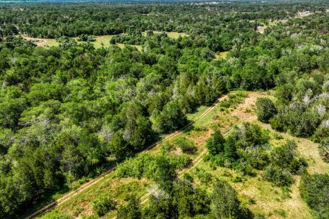 Tbd (88.852 Acres) Smith Road Bastrop TX 78602