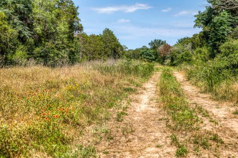 Tbd (88.852 Acres) Smith Road Bastrop TX 78602