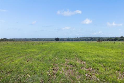 212 Ac Black Bridge Road Calvert TX 77837