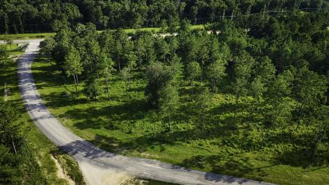 Tbd Lot 5 Ridge Lake Road Livingston TX 77351
