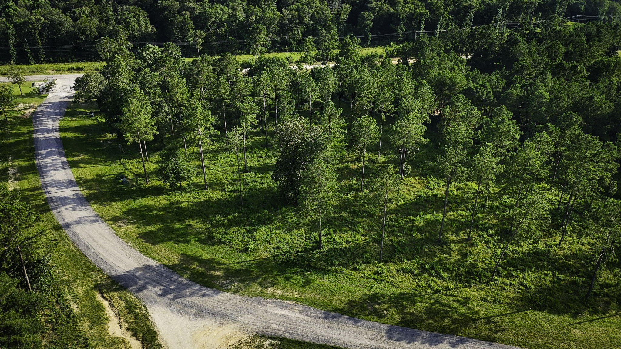 Tbd Lot 5 Ridge Lake Road Livingston TX 77351