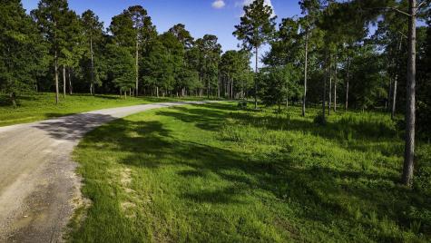 Tbd Lot 5 Ridge Lake Road Livingston TX 77351