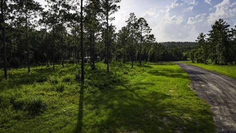 Tbd Lot 5 Ridge Lake Road Livingston TX 77351