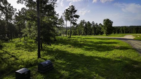 Tbd Lot 5 Ridge Lake Road Livingston TX 77351