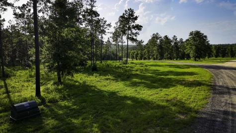 Tbd Lot 5 Ridge Lake Road Livingston TX 77351
