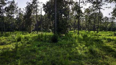 Tbd Lot 5 Ridge Lake Road Livingston TX 77351