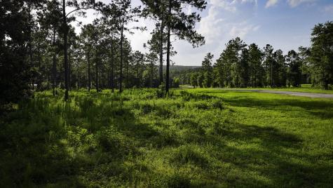 Tbd Lot 5 Ridge Lake Road Livingston TX 77351