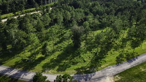 Tbd Lot 5 Ridge Lake Road Livingston TX 77351