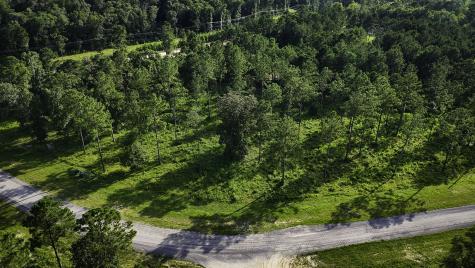 Tbd Lot 5 Ridge Lake Road Livingston TX 77351