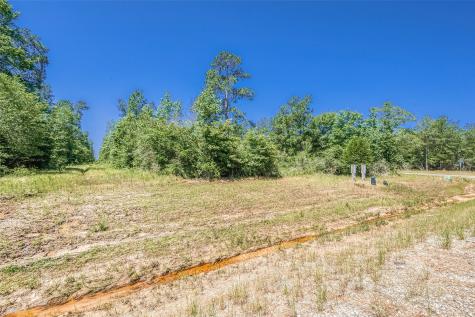 123 Gypsum Road Willis TX 77378