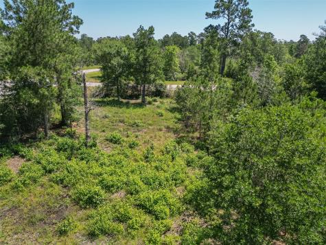 123 Gypsum Road Willis TX 77378