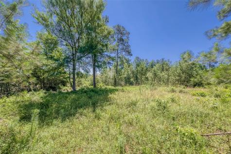 123 Gypsum Road Willis TX 77378