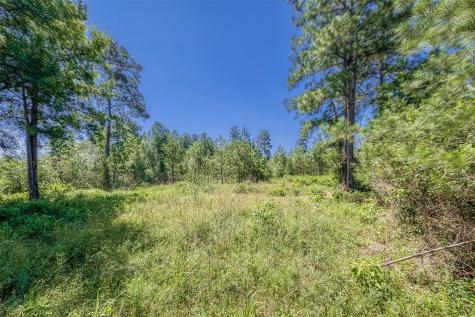 123 Gypsum Road Willis TX 77378