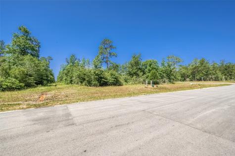 123 Gypsum Road Willis TX 77378