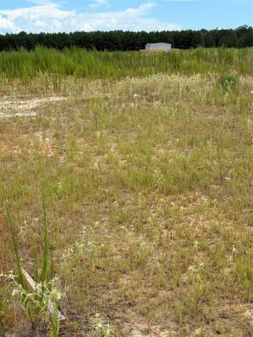 826 Road 591703 Cleveland TX 77327