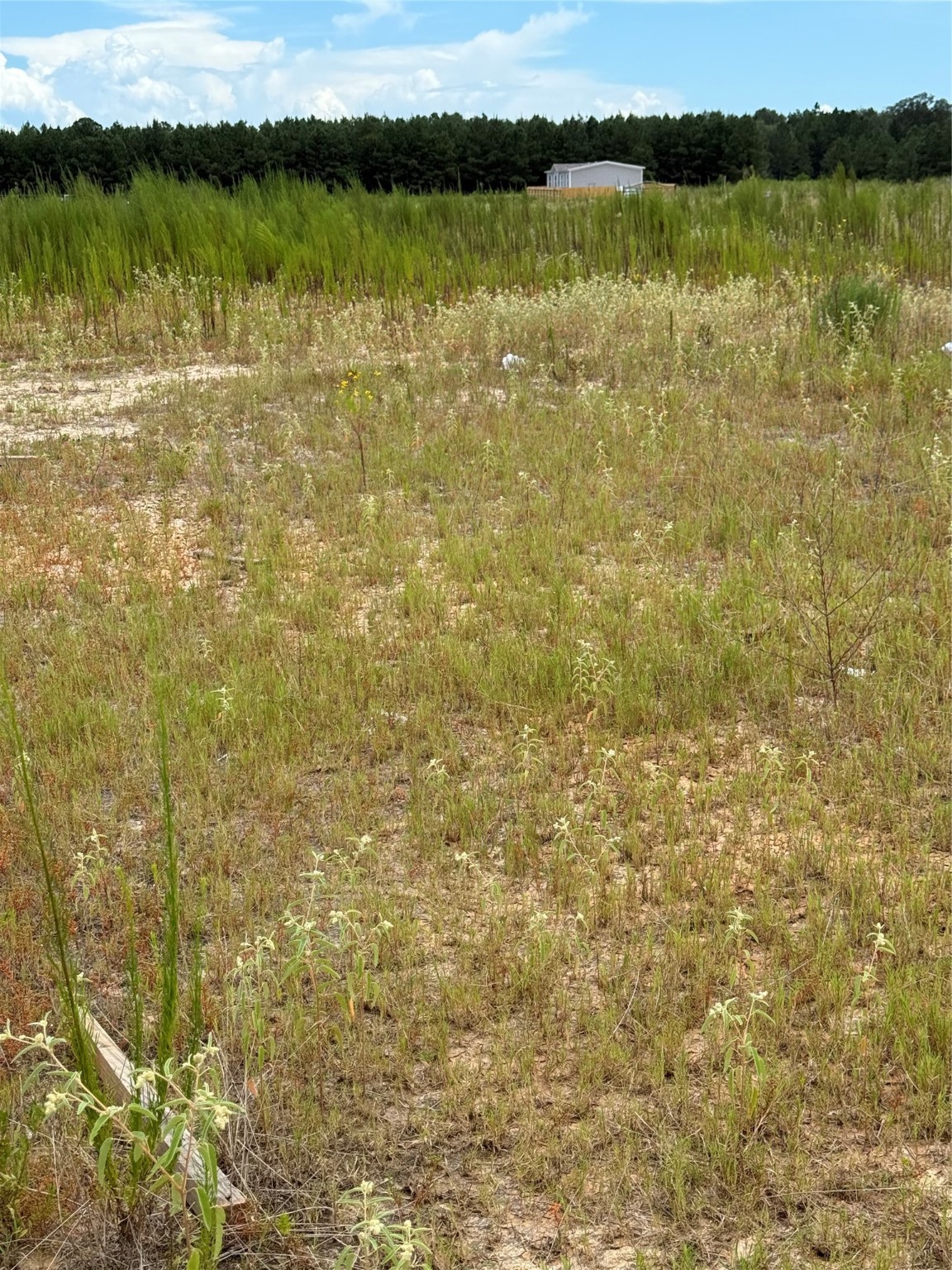 826 Road 591703 Cleveland TX 77327