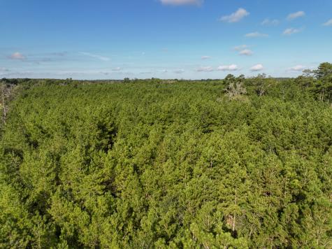 4 Cr 517 Kirbyville TX 75956