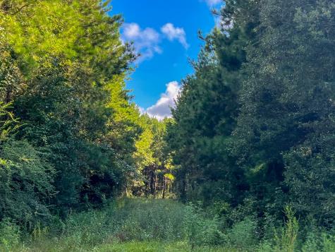 4 Cr 517 Kirbyville TX 75956
