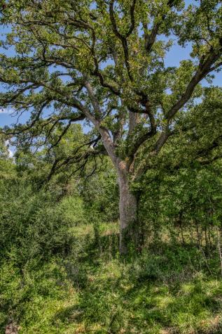 3208 W State Highway 21 Bryan TX 77803