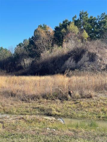 146 Road 5702 Cleveland TX 77327