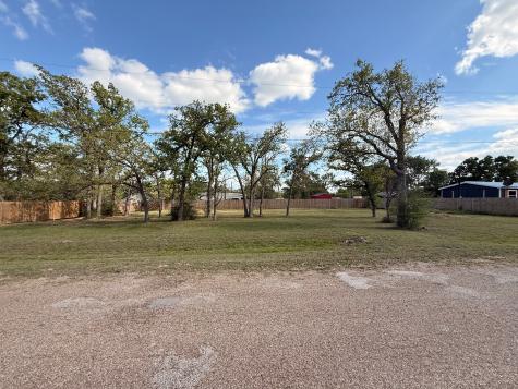 000 Shady Oaks Drive Somerville TX 77879