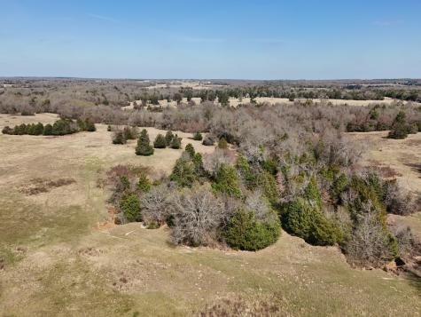 Tract #15 Fcr 445 Fairfield TX 75840