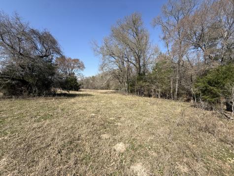 Tract #15 Fcr 445 Fairfield TX 75840