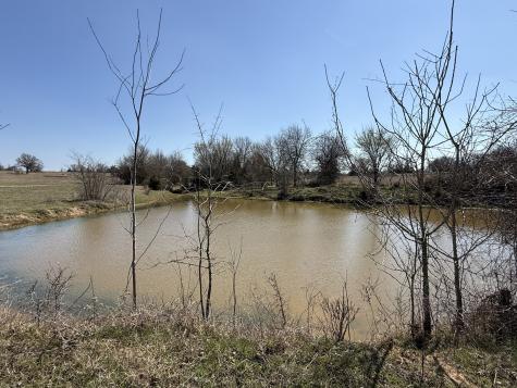 Tract #15 Fcr 445 Fairfield TX 75840