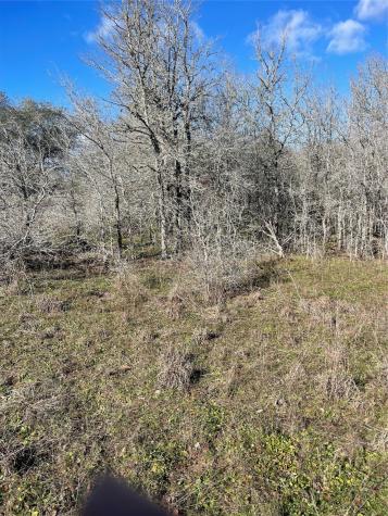 Fm 154 Fm 154 Muldoon TX 78949