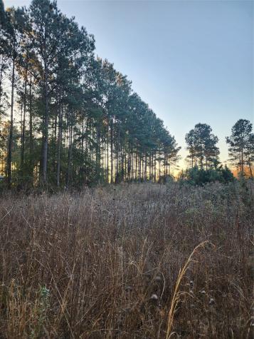 143 County Road 5003 Cleveland TX 77327