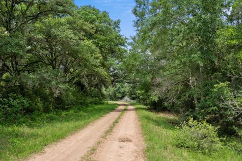 1168 Pargac Lane Columbus TX 78934