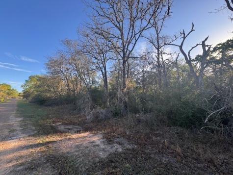 4 Street W Sheridan TX 77475