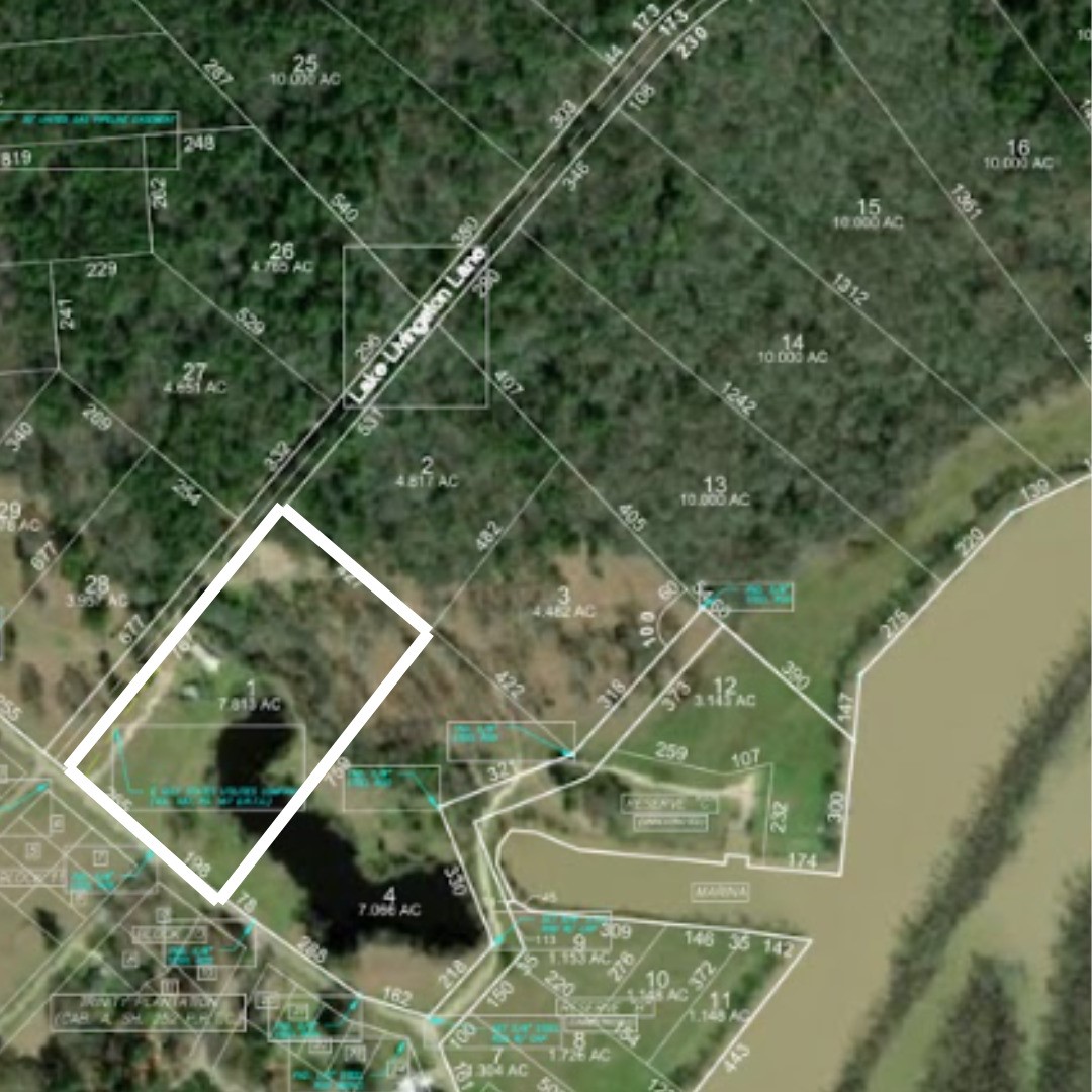 Lot 1 Lake Livingston Lane Trinity TX 75862